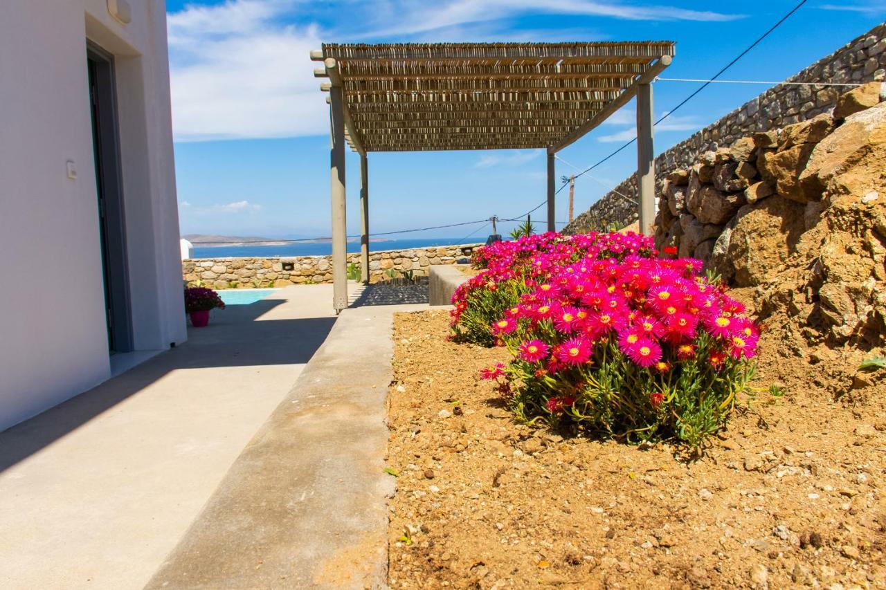 Nikoi Villas Mykonos Town エクステリア 写真